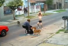 Un héroe anónimo frenó el ataque de tres perros pitbull. Foto: Captura de pantalla