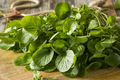 El berro es una verdura con numerosos nutrientes esenciales Foto: Shutterstock