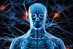 Cada vez que recibimos una notificación en el celular, damos un “me gusta” en redes o recibimos un comentario positivo, nuestro cerebro libera pequeñas dosis de dopamina. Foto: Archivo MDZ