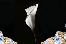 Foto: planetadelibros.com