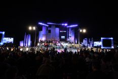 Fiesta de la Vendimia de la Ciudad de Mendoza del año 2020. Foto: Foto: ALF PONCE/MDZ