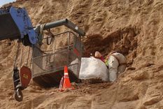 El descubrimiento de los restos fósiles fue realizado en 2015 en el predio de una cementera ubicada en Olavarría Foto: Gentileza investigadores de Conicet