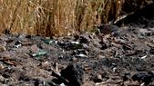 al menos 17 empresas contaminaron el pescara y la estatal aysam fue la de mayor impacto al menos 17 empresas contaminaron el pescara y la estatal aysam fue la de mayor impacto