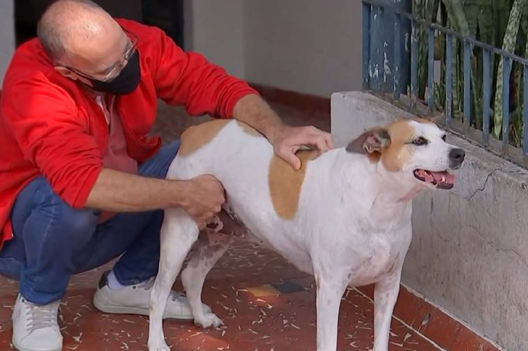 Nina fue víctima de la inseguridad por saludar a un extraño. Foto: Captura de pantalla (globo.com)
