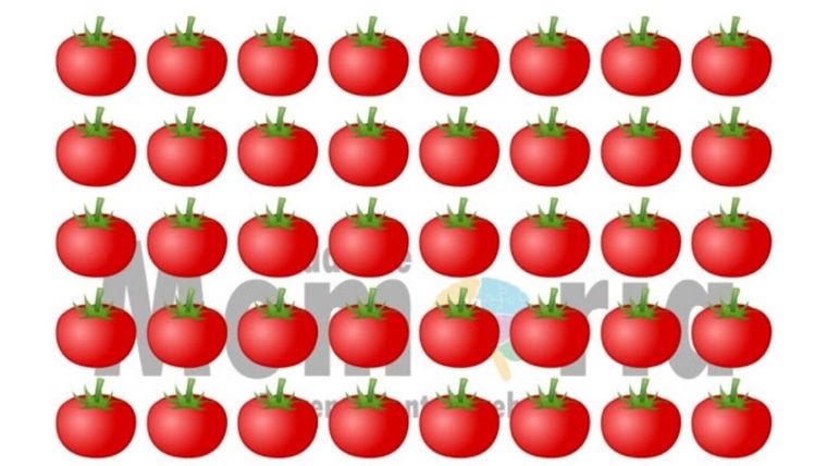 Acertijo visual, reto visual, tomate Pinterest Foto: Archivo MDZ