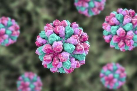 Los virus no son tan malos como creemos. Esta es una ilustración de un norovirus. Foto: BBC