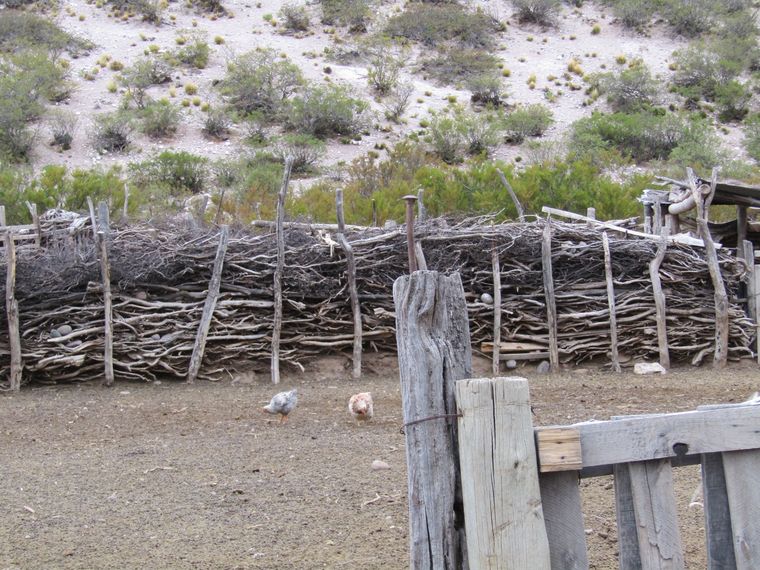 Puestos del Yaucha. Puestos del Yaucha. 