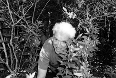 david byrne, un artista para pedalear ciudades