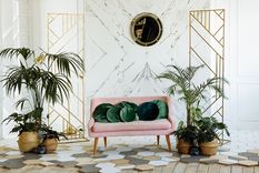 Transformá los espacios de tu hogar con estas plantas Foto: Shutterstock