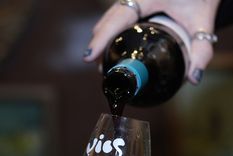 VIOS Vinos Orgánicos Foto: VIOS