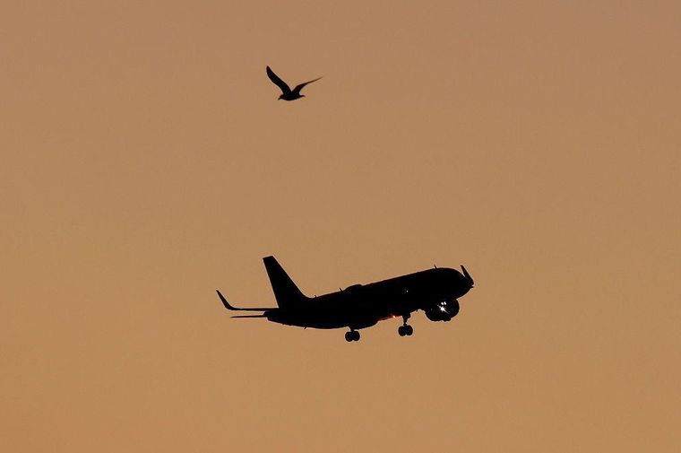 Los vuelos más destacados y baratos con una función de Google.