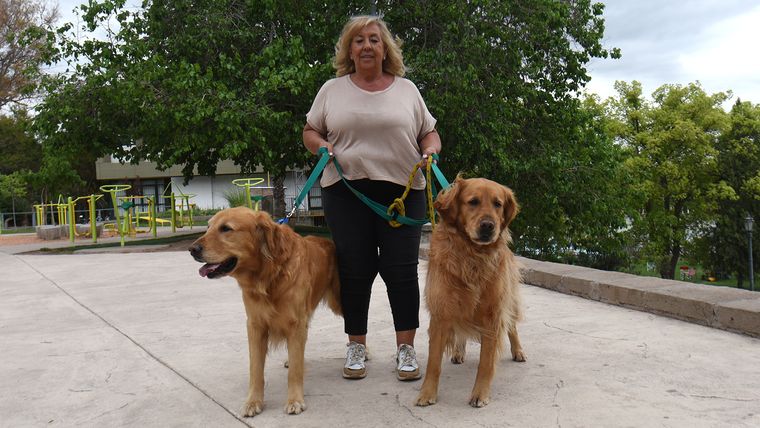Nina y Hendrix pesan cerca de 40 kilos cada uno. Nina y Hendrix pesan cerca de 40 kilos cada uno.
