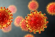 Los científicos identifican mutaciones del virus del covid-19 comparando miles de genomas de distintas partes del mundo.