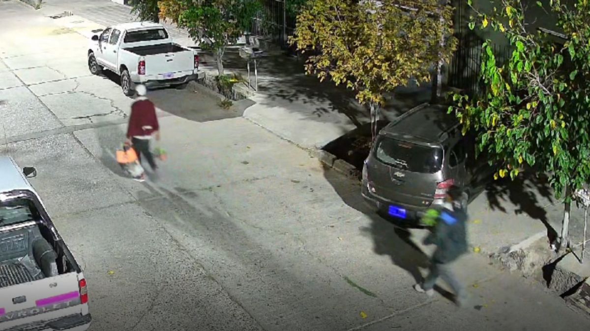Video: cámaras de seguridad delataron a los autores del robo en un vivero de Maipú