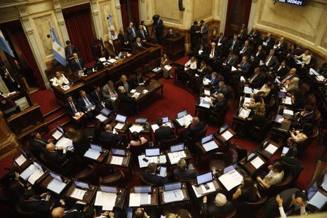 El Senado de la Nación. El Senado de la Nación.