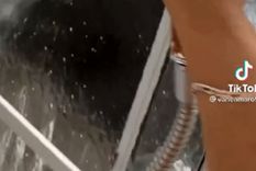 Video viral Foto: TikTok Video viral Foto: TikTok