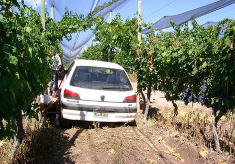 El estado en que quedó el auto de las víctimas.