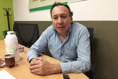 Ricardo Maciel, director del Instituto Nacional de la Yerba Mate (INYM) por la provincia de Misiones asegura que hoy el productor recibe unos 240 pesos por kilo de hoja verde, mientras que hace un año y medio cobraba 400 pesos.