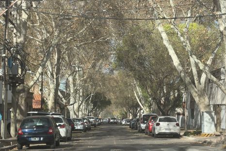 El viento Zonda ya se siente en el Gran Mendoza El viento Zonda ya se siente en el Gran Mendoza