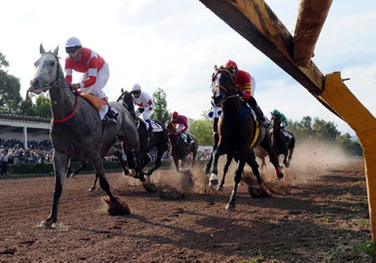 Foto: Pachy Reynoso/MDZ