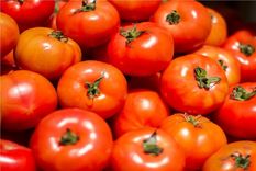 Cómo hacer que los tomates se conserven más tiempo Foto: Freepik