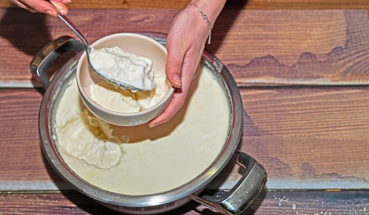 Los mejores trucos para un yogur casero perfecto Foto: Shutterstock