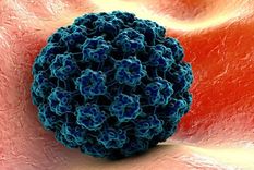 Foto: curiositemujer.com