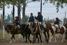 La ganadería argentina es una de las principales industrias dentro del agro.