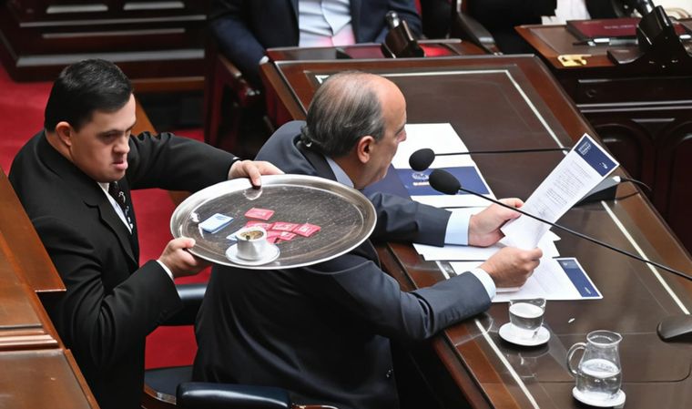 Está previsto que llegue al Senado el proyecto de insistencia de la Ley de Emergencia en Discapacidad.