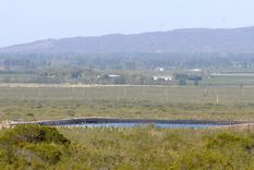 Agrelo es la zona más deseada para los desarrollos vitivinícolas.&nbsp;
