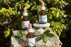 Las Flores de Bach son una terapia alternativa que se aplica ante ansiedad, ataques de pánico, insomnio, bruxismo por estrés y dificultades propias de la menopausia.&nbsp;