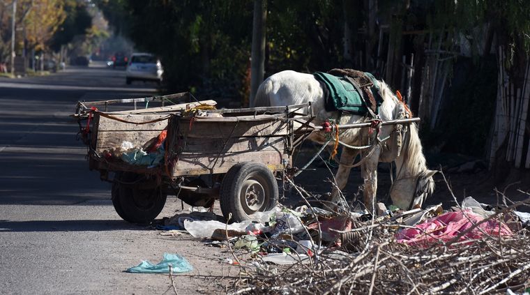 Foto: ALF PONCE MERCADO / MDZ