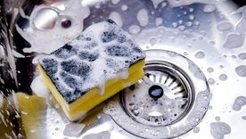 La esponja de la cocina es uno de los elementos con más gérmenes. Foto: GETTY IMAGES La esponja de la cocina es uno de los elementos con más gérmenes. Foto: GETTY IMAGES