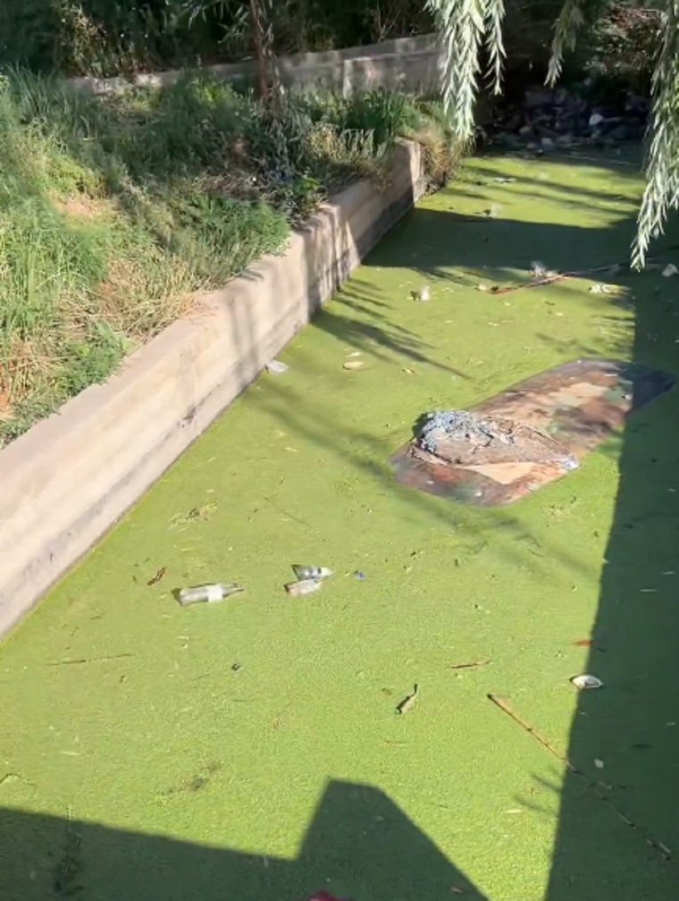 Foto: Captura de pantalla