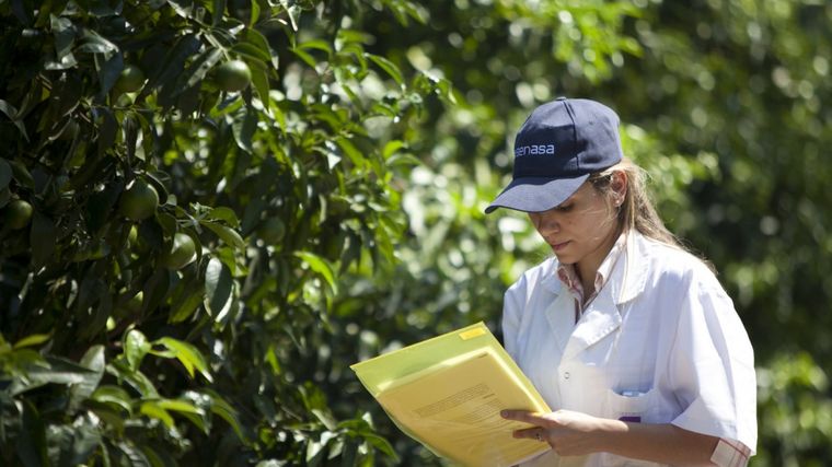 Senasa exige a los productores a actualizar sus datos en el Renspa