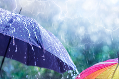 Ideas creativas para hace con los chicos en los días de tormenta.