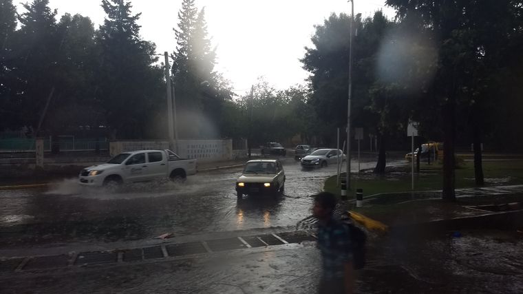 Foto: Pachy Reynoso / MDZ