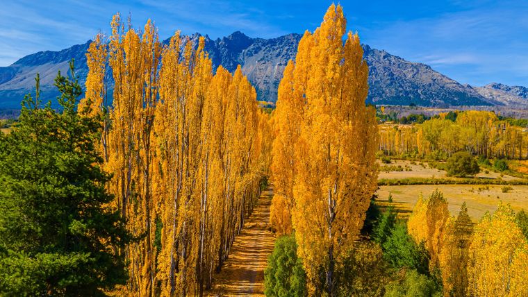El pueblo de El Bolsón se ubica en un valle rodeado por montañas y bosques patagónicos.