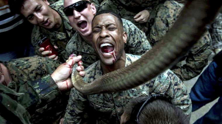 Ya no se verán estas crueles imágenes de Tailandia. Foto: Military.