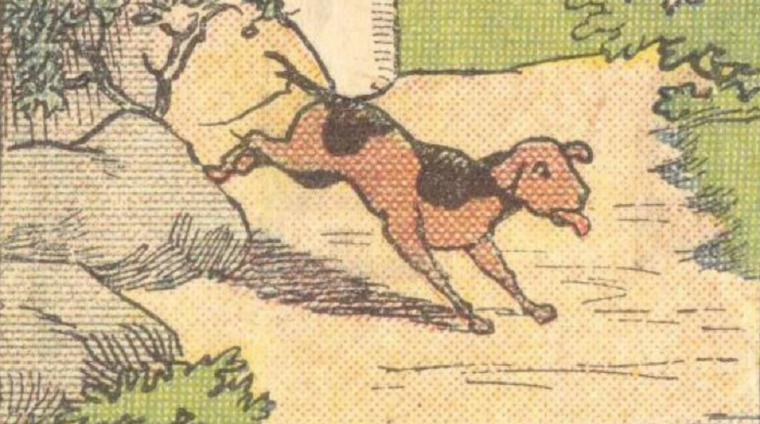 ACERTIJO VISUAL ACERTIJO VISUAL, RETO VISUAL, HOMBRE Foto: ARCHIVO