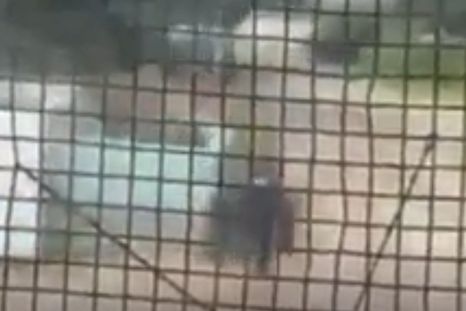 un policia corrio con todas sus fuerzas y salvo a un nino de 3 anos de ser arrollado por un tren un policia corrio con todas sus fuerzas y salvo a un nino de 3 anos de ser arrollado por un tren