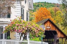 Woodstock, a diferencia de Pomfret, es una ciudad que prospera gracias al turismo y está equipada para afrontarlo. Foto: SEAN PAVONE/ALAMY