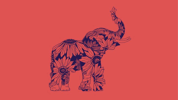 Test de personalidad