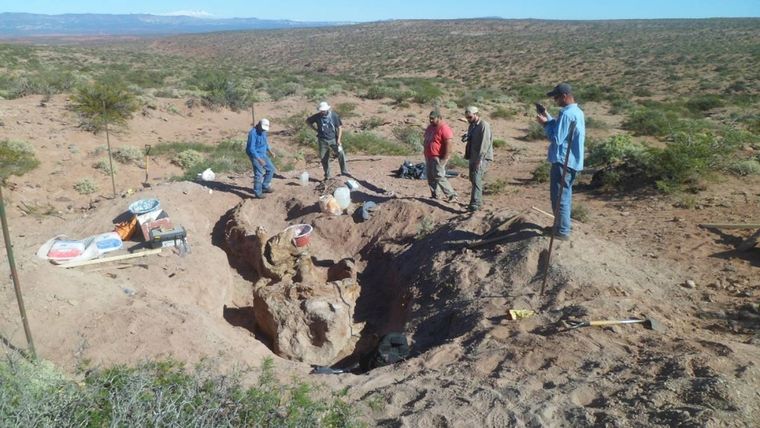 Carga de los fósiles con ayuda de maquinaria de la Municipalidad de Rincón de los Sauces (Neuquén). Foto: Gentileza investigadores Conicet