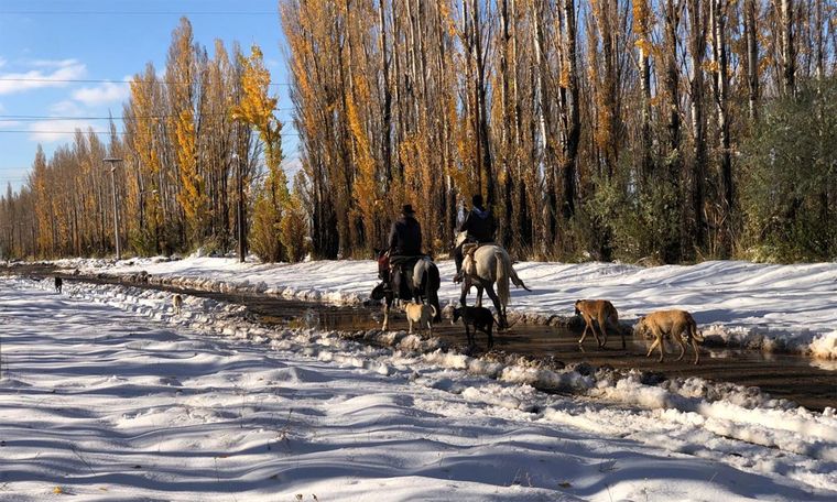 Las nevadas han afectado principalmente los departamentos del sur, como Malargüe Foto: Foto de archivo (Gentileza)