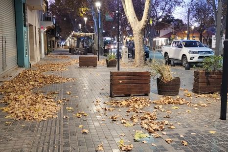 En pleno centro, las ráfagas levantaron hojas y se hicieron sentir con fuerza en distintas calles de la Ciudad.&nbsp;