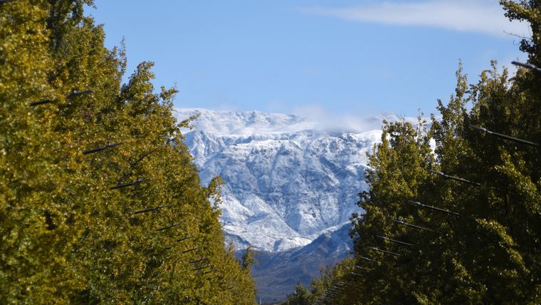 El lunes en Mendoza será soleado y con ascenso de la temperatura.