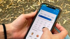 Los nuevos límites que toma en cuenta ARCA para reportar operaciones financieras. Foto: Archivo Los nuevos límites que toma en cuenta ARCA para reportar operaciones financieras. Foto: Archivo