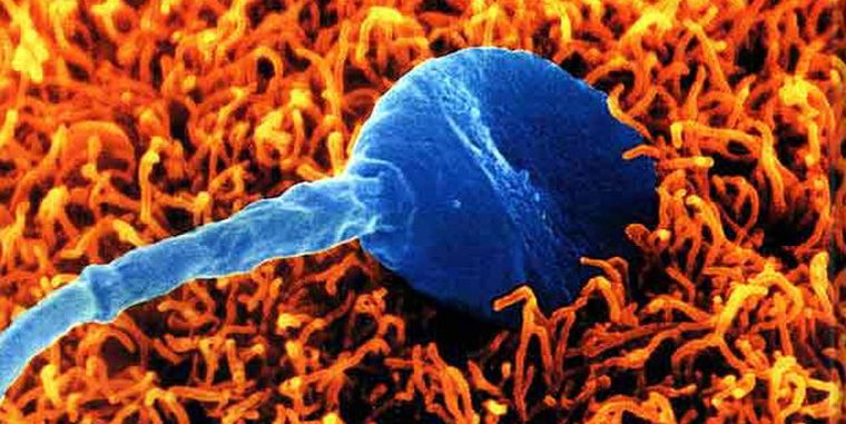 Foto: www.bbcmundo.es