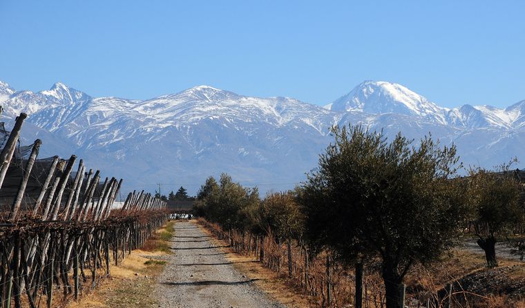 La iniciativa cuenta con apoyo de una bodega mendocina y apunta a generar nuevas alternativas para la industria de la construcción. La iniciativa cuenta con apoyo de una bodega mendocina y apunta a generar nuevas alternativas para la industria de la construcción.